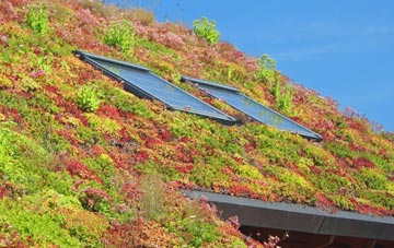 Shut Heath living roof systems