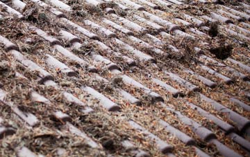 Shut Heath roof cleaning companies